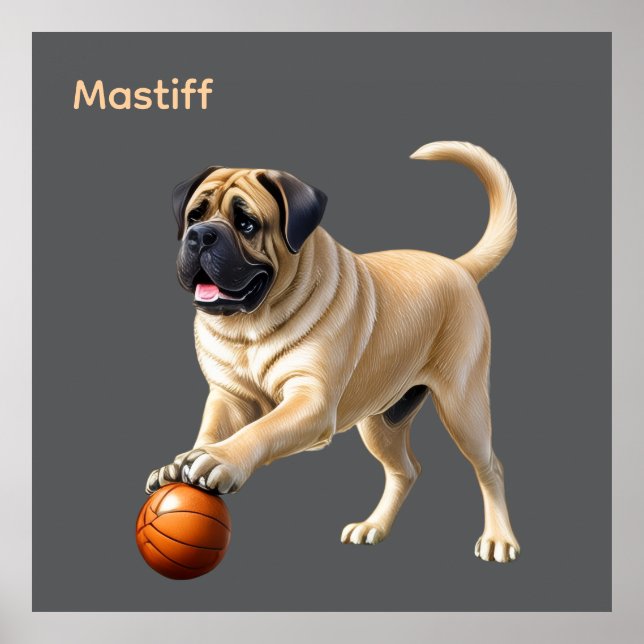 Póster Mastiff englische Dogge mit Ball im Urlaub (Frente)