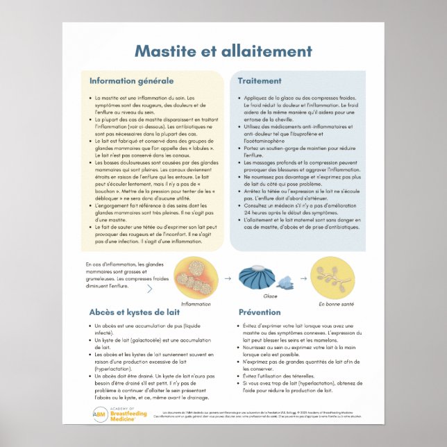Póster Mastitis en Poster de lactancia (francés) (Frente)