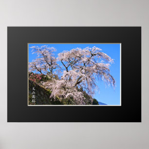 Póster Matabei-Zakura: Llorando cerezo