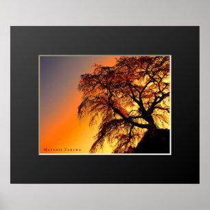 Póster Matabei-Zakura: Llorando cerezo