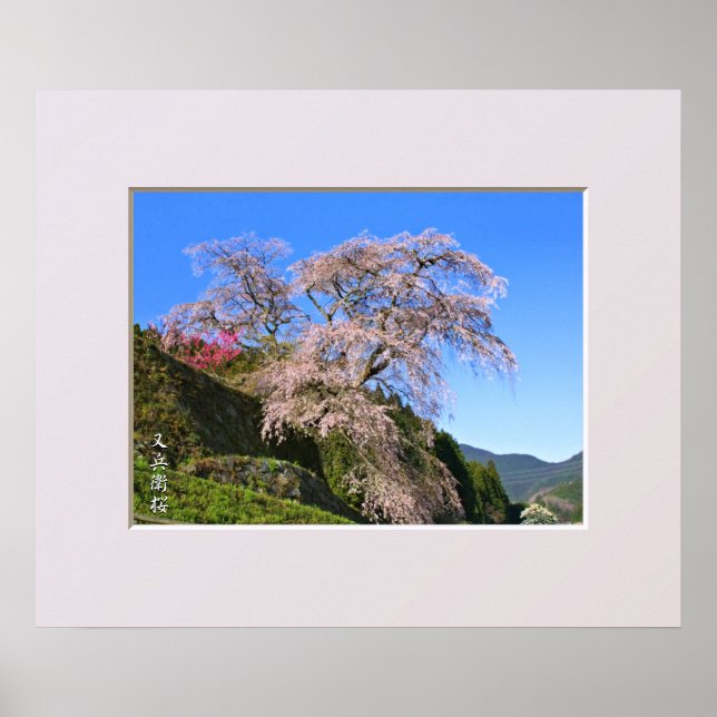 Póster Matabei-Zakura Weeping Cherry Tree (Frente)