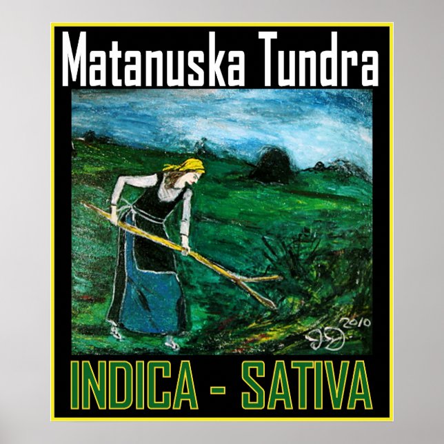 PÓSTER MATANUSKA TUNDRA INDICA SATIVA (Frente)