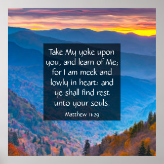 Póster Mateo 11:29