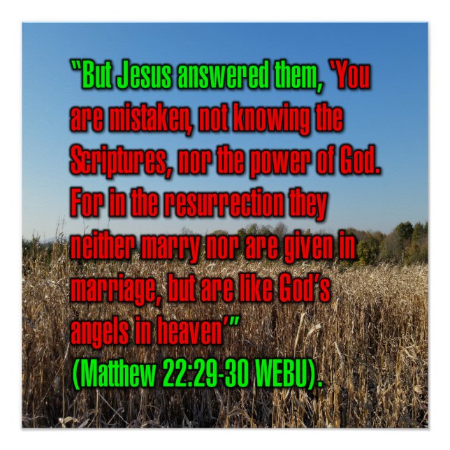Póster Mateo 22:29-30 WEBU (Anverso)