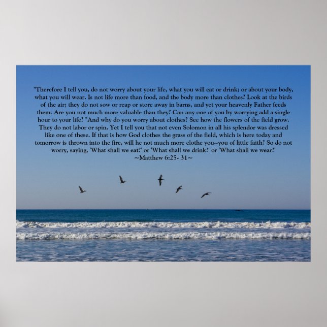 Póster Mateo 6:25 - 31 Poster (Frente)