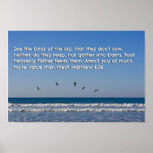 Póster Mateo 6:26