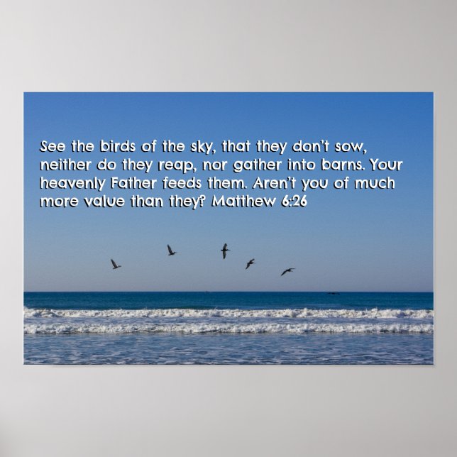 Póster Mateo 6:26 (Frente)