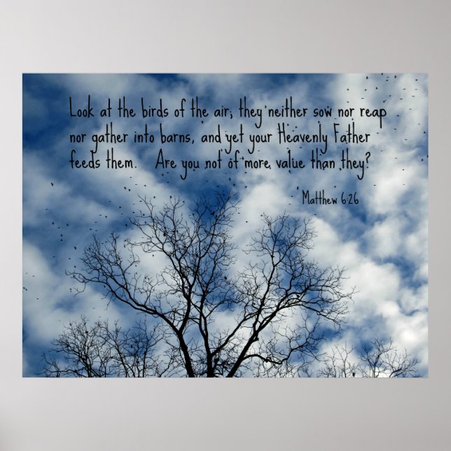 Póster Mateo 6:26 Mira los pájaros del aire... (Frente)