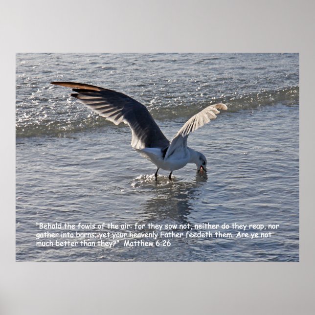 Póster Mateo 6:26 Poster de guiones (Frente)