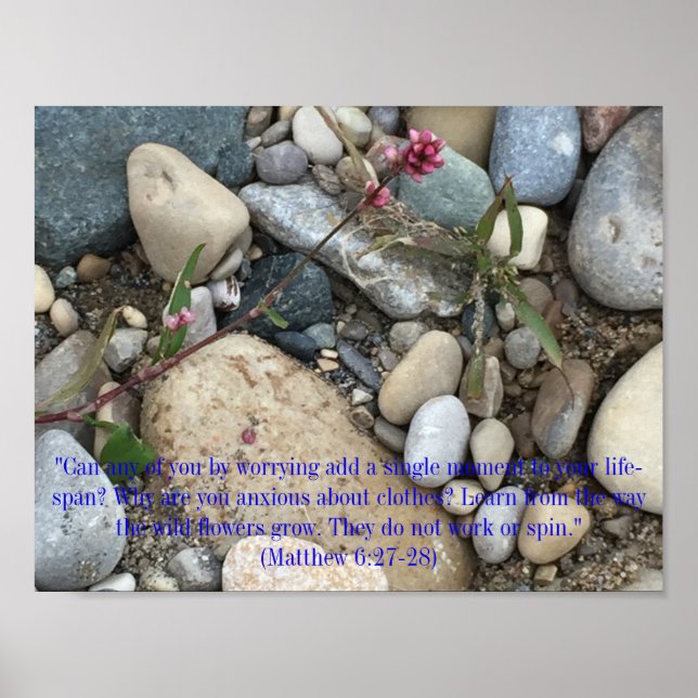 Póster Mateo 6:27-28 Poster (Frente)