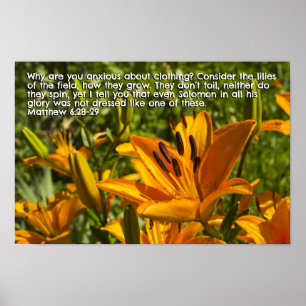 Póster Mateo 6:28-29