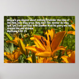 Póster Mateo 6:28-29
