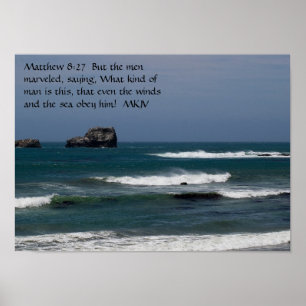 Póster Mateo 8:27 poster