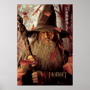 Póster Material gráfico de edición limitada: Gandalf