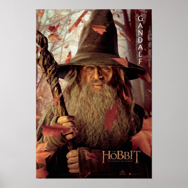 Póster Material gráfico de edición limitada: Gandalf (Frente)