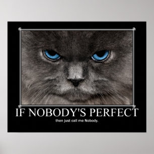 Póster Material gráfico de nadie perfecto