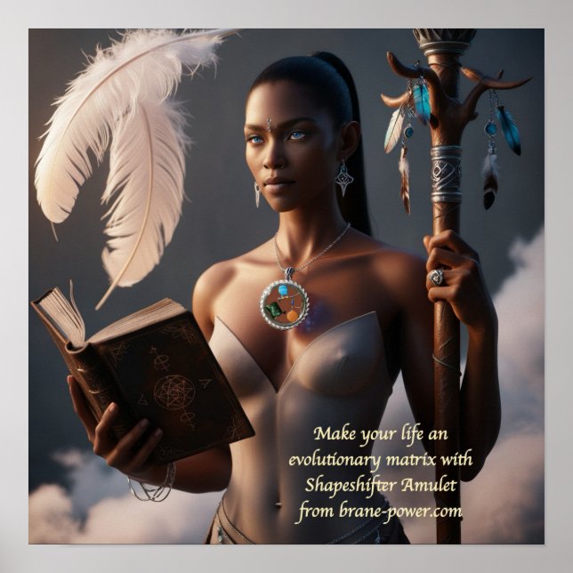 Póster Matriz evolutiva (Frente)