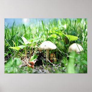 Póster Matroshka en un parche en hongos