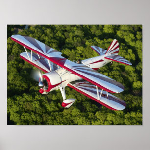 Póster Matthew tiene 450