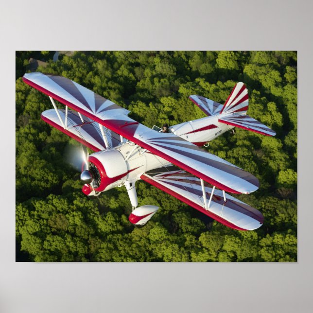 Póster Matthew tiene 450 (Frente)