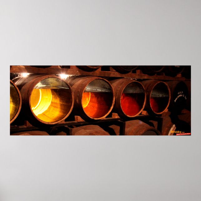 Póster Maturación (Frente)