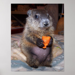 Póster Maude Poster 1