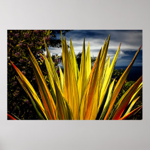 Póster Maui Gold - Hawaii