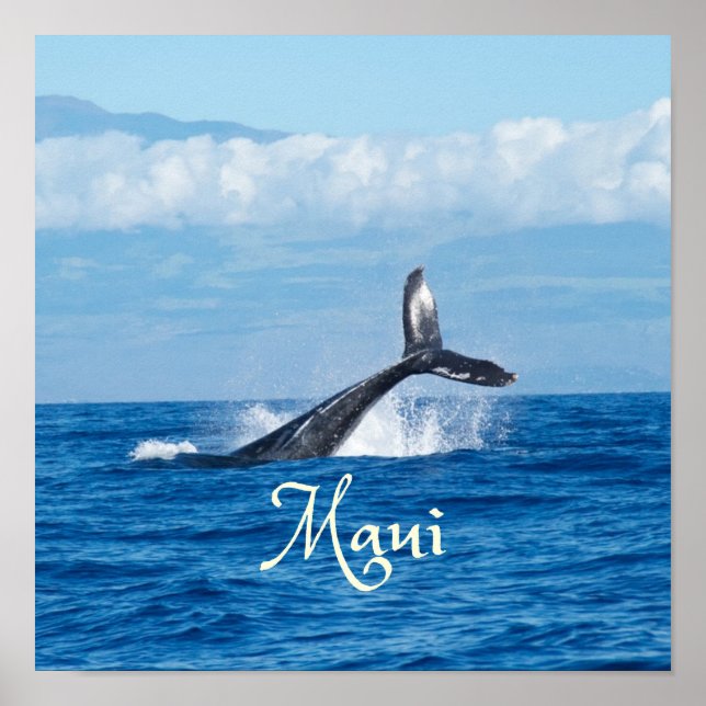 Póster Maui Hawaii Ocean Whale Tail (Frente)