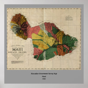 Póster Maui - Mapa de la encuesta anticuaria vintage de H
