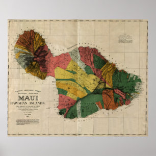Póster Maui - Mapa de la encuesta anticuaria vintage de H