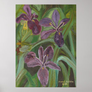 Póster Mauve LA Iris