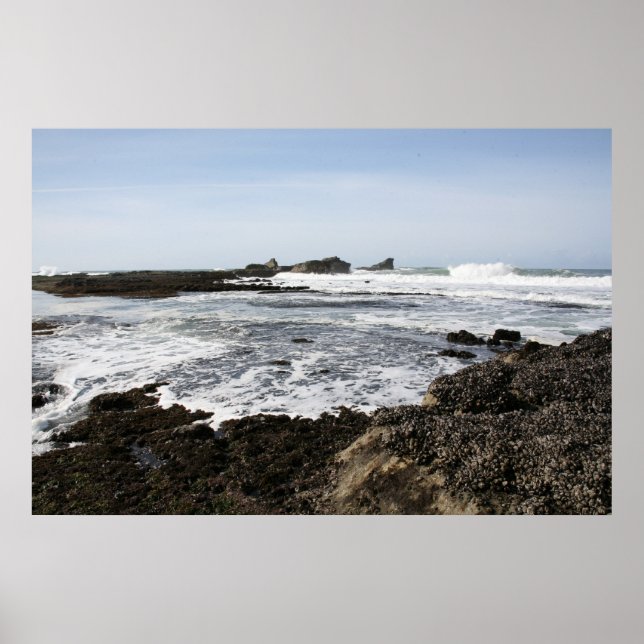 Póster Mavericks (Frente)