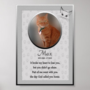 Póster Max - Memorial del gato