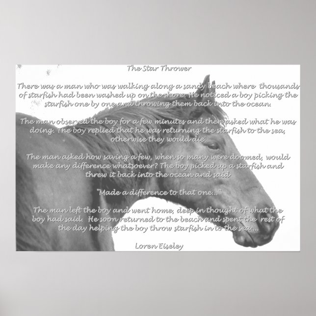 Póster Maxx Starfish (Frente)