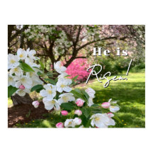 May Flowers Pink Easter