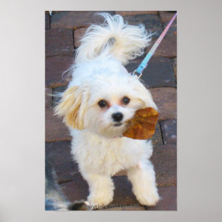 Póster Maya with Leaf Print