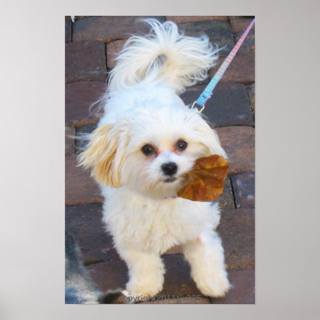 Póster Maya with Leaf Print (Frente)