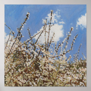 Póster Mayflower 2012