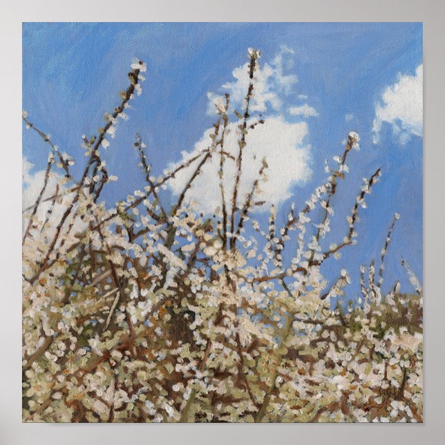 Póster Mayflower 2012 (Frente)