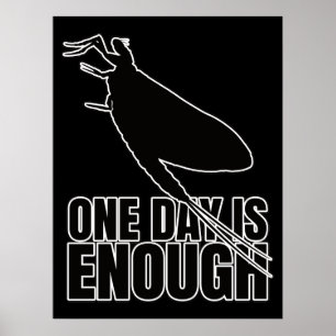 Póster Mayflower One Day Flies - Geek de la Entomología