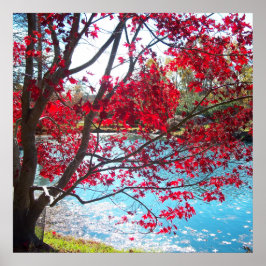 Póster Maymont Gardens Red Maple Tree Virginia Poster Art