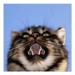 Póster Mazo De Plaintiva De Una Pintura Acrílica De Gato 