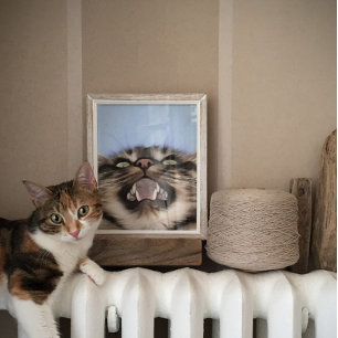 Póster Mazo De Plaintiva De Una Pintura Acrílica De Gato 