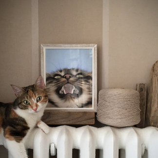Póster Mazo De Plaintiva De Una Pintura Acrílica De Gato
