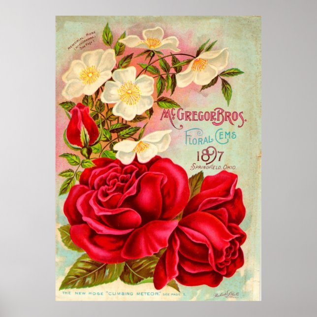 Póster McGregor Bros. Anuncio de gemas florales (Frente)