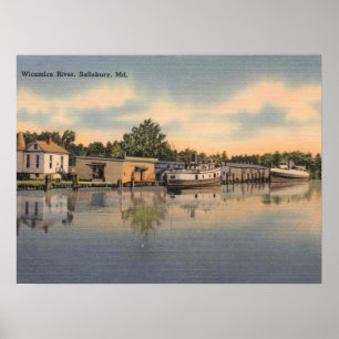 Póster MD de Salisbury, Maryland, río de Wicomico,