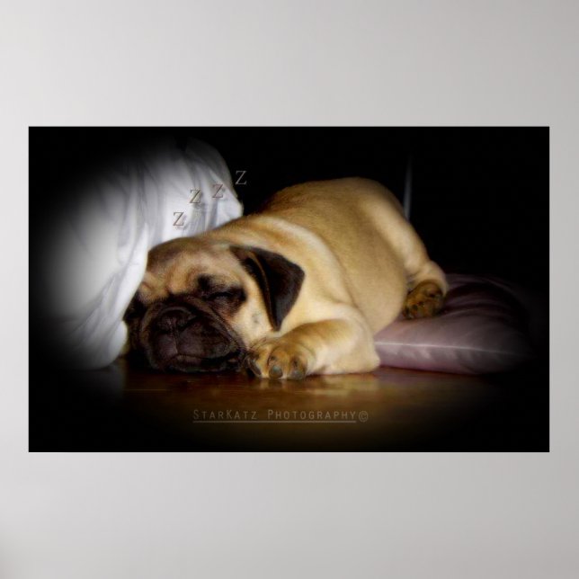 Póster 'Me Alegro Del Amor Que Encuentro Todos Los Días' (Frente)