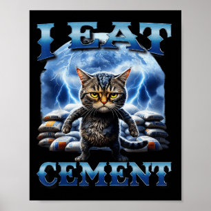 Póster Me Comí Cemento Maldito Gato Gracioso Extrañamente