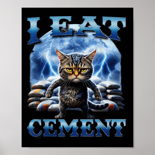 Póster Me Comí Cemento Maldito Gato Gracioso Extrañamente (Frente)