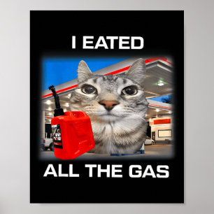Póster Me Comí Todo El Gas Gato Divertido Tonto Mirando M